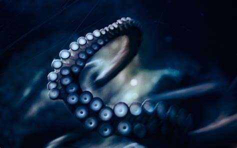 Octopus iPad Wallpapers - Top Free Octopus iPad Backgrounds - WallpaperAccess