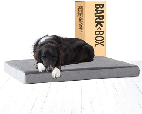 Best Chew Proof Dog Bed, Cover and Crates - iPetCompanion