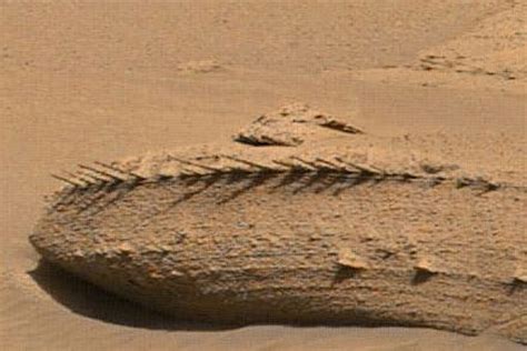 Water on Mars? NASA's Curiosity Rover Collects Best Evidence of Martian Waves, Waters - TrendRadars