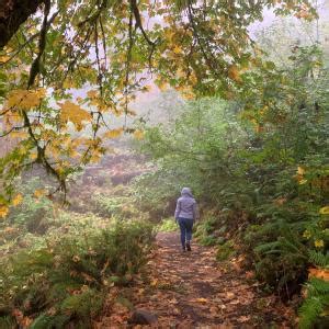 Hiking Trails | Eugene, Cascades & Oregon Coast