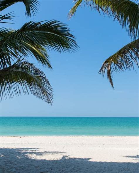 Englewood Florida - Things to Do & Attractions in Englewood FL