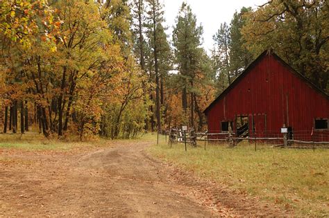 Los Burros Campground near Pinetop | A local's guide to Pinetop Arizona: Best things to do in ...