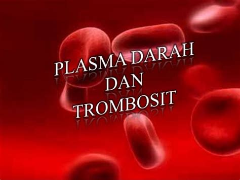 PLASMA DARAH DAN TROMBOSIT