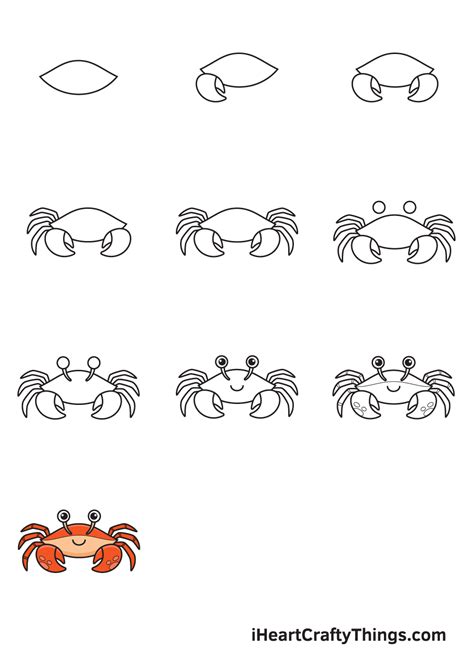 Crab Drawing