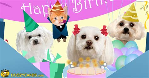 Birthday Greetings with Dogs | Singing Birthday E Cards