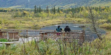 Nature Center Trails - Eagle River Nature Center