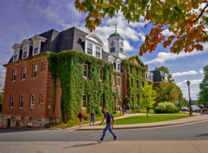 UNB kicks off new sustainability program in Fredericton