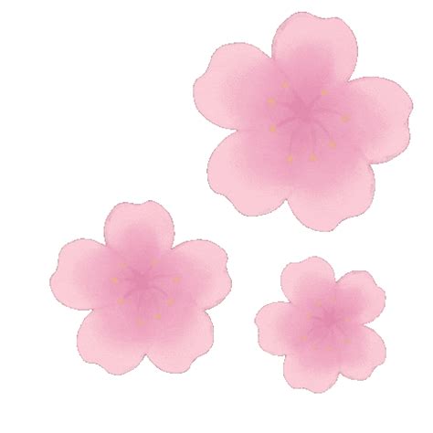 Cherry Blossoms Pink Sticker for iOS & Android | GIPHY | Love heart gif, Cherry blossom, Blossom