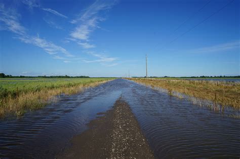 Flooding And Tariffs Causing Chaos For Farmers : NPR