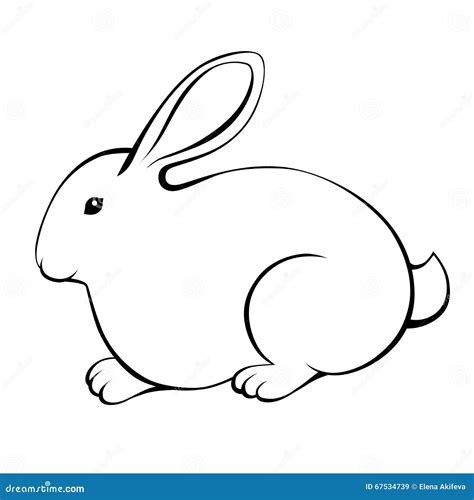 Rabbit Black White Isolated Illustration Stock Vector - Image: 67534739