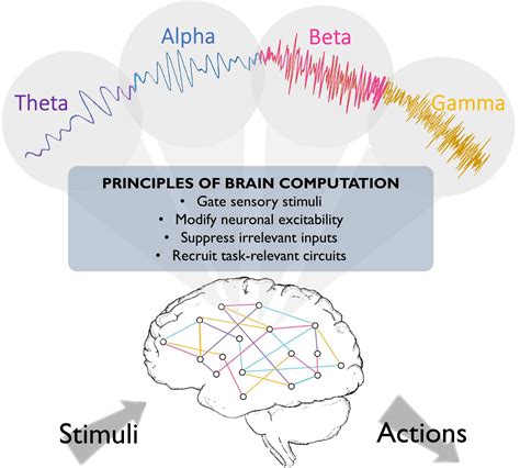 PDF) Hand Differences in Aiming Task: A Complementary Spatial Approach and Analysis of Dynamic ...