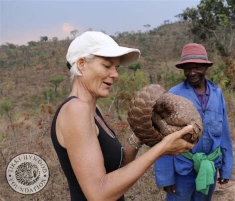 Pangolin Conservation Initiative – SAFE Worldwide