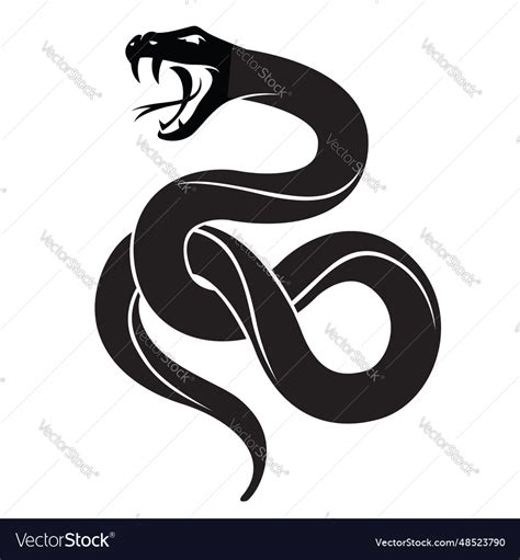 Snake Royalty Free Vector Image - VectorStock