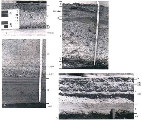 Photographs of tephra-fall deposits of 1991 eruptions. A, Section on ...