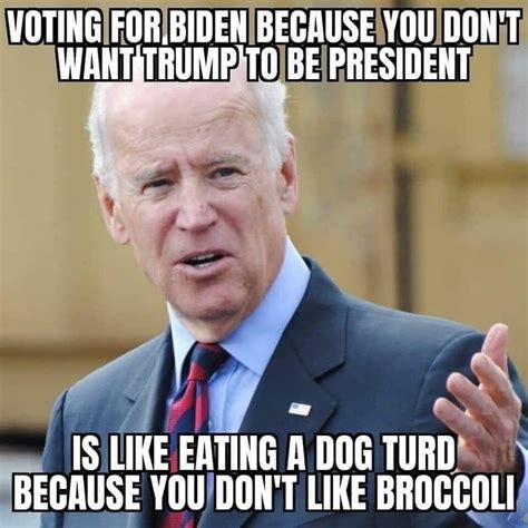 anonaMEME | Voting For Biden Because You Don't Want Trump to be ...