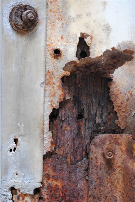 Free Images : tree, wood, white, texture, leaf, window, wall, rust, color, brown, material ...
