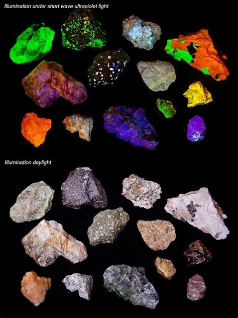 Fluorescent minerals photo | Minerals and gemstones, Rocks and minerals ...