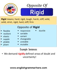 Opposite Of Rigid, Antonyms of Rigid, Meaning and Example Sentences - English Grammar Here