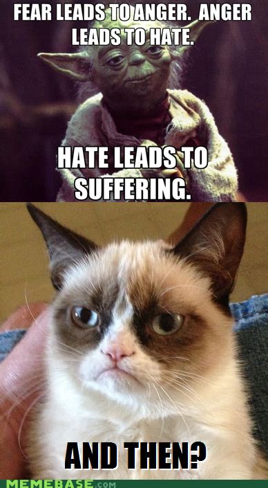 Grumpy Cat Coronavirus Memes - Funny Cats