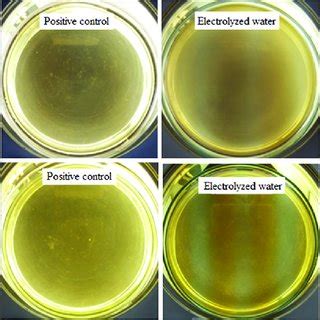 Effect of electrolyzed water at pH 2.5 on the growth of... | Download ...