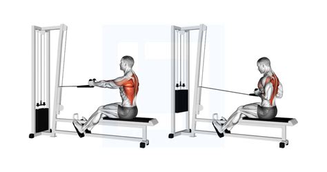 Barbell Rear Delt Row - Guide, Benefits, and Form