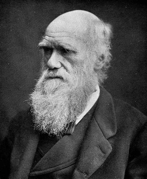 Biography of Evolution Scientist Charles Darwin