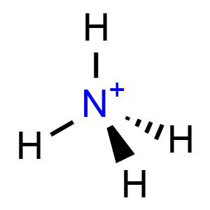 Ammonium Cation Structure - Science Notes and Projects