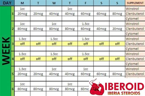 Clenbuterol Cycle: Clen Cycle Results and Effects for Women - Steroids online