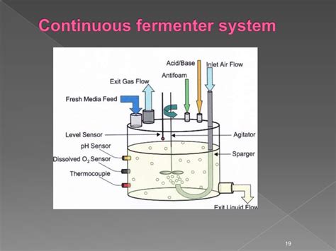 Microbial fermentation By Aneela Saleem