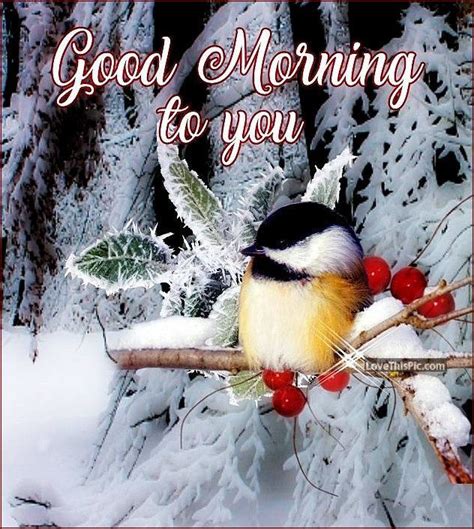 Good Morning To You | Good morning winter, Good morning nature, Good ...