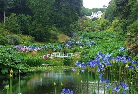 30 best gardens in Cornwall - Great British Gardens