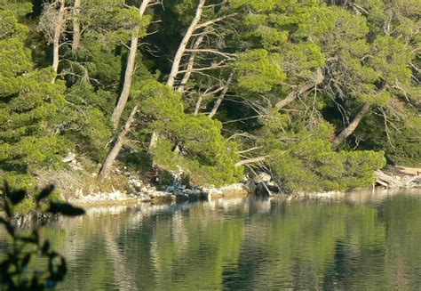 Private National Park Mljet Hiking Tour | Travel Matters