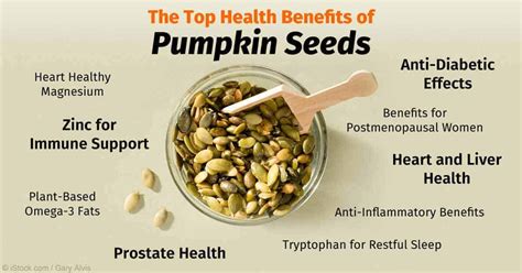 health benefits pumpkin seeds | SQEEDS for Seeds