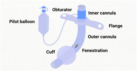 Tracheostomy Tube