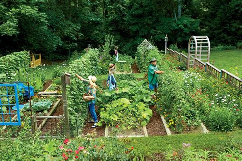 8 Secrets To Growing Your Own Veggie Patch | Veggie garden, Vegetable garden design, Garden ...