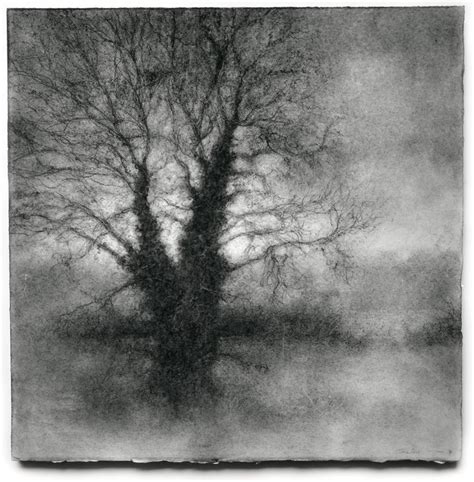 Sue Bryan Landscape Drawing / Watercolor - Winter Tree 4 (Black ...