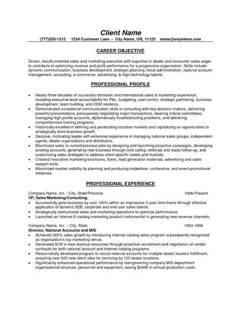 Career Objective Examples For It Professional