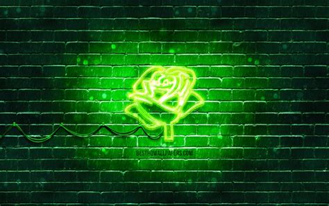 Download wallpapers Green Rose neon icon, 4k, green background, neon ...