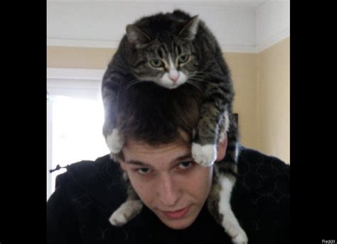 The Top 20 Funny Photos Of Cats As Hats (Photo Gallery)