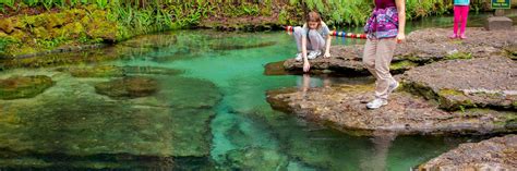 Kelly Park Rock Springs – Apopka, Florida