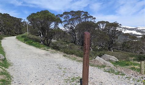 Mount Kosciuszko Summit walk | NSW National Parks