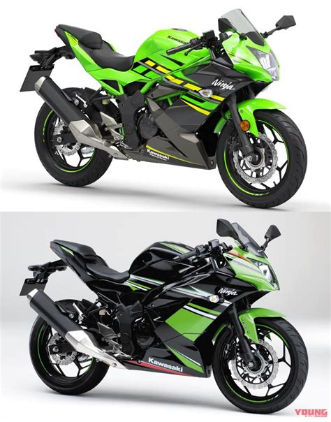 2019新型Ninja125（ニンジャ125）とZ125が公開! 国内導入も濃厚│WEBヤングマシン｜新車バイクニュース