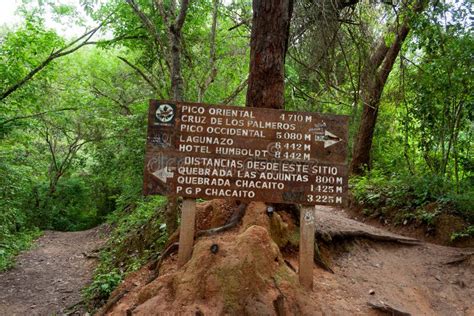 Caracas Venezuela 08/18/2018 El Avila National Park Editorial Editorial ...