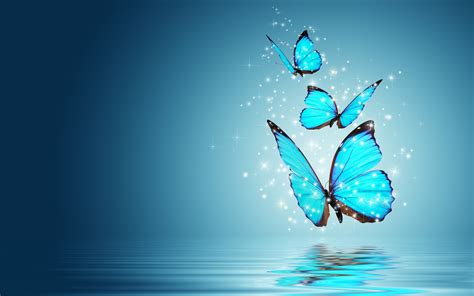 Butterfly Wallpapers | Best Wallpapers