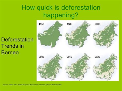 The Causes Of Deforestation