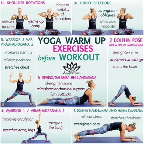 Yoga warm up exercises before workout | Beginner yoga workout, Yoga tutorial, Hatha yoga poses