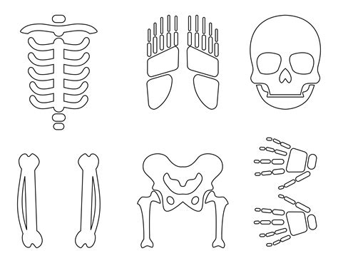 Large Skeleton Template - 20 Free PDF Printables | Printablee