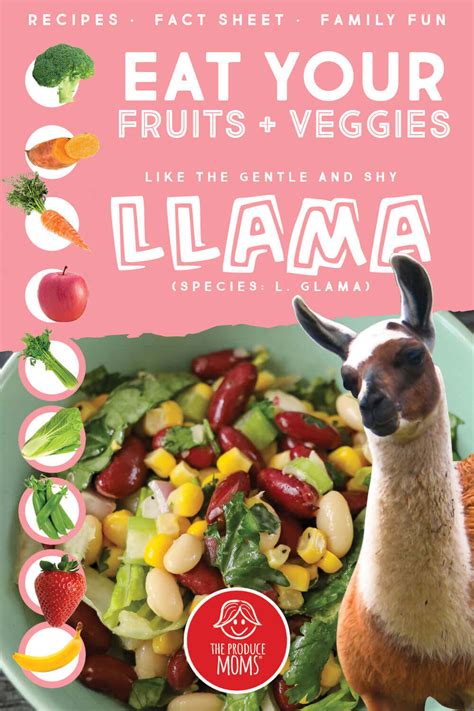 Eat Like a Llama: Mixed Bean Chopped Salad - The Produce Moms