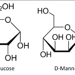 | Chemical structure of D-glucose and D-mannose. | Download Scientific ...