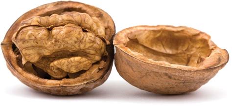 Walnut | Tree, Nut, Species, Uses, & Facts | Britannica